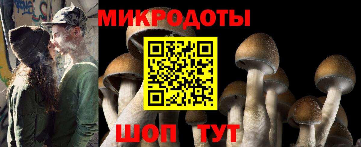 Альметьевск  Галлюциногенные грибы ЛСД  Вход с VPN 